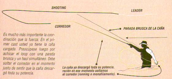 ancla Reductor Se asemeja Pesca con Shooting Tapers.